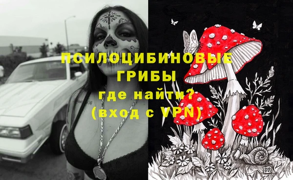 скорость Ладушкин